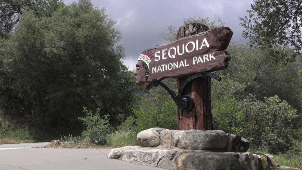 untitled design 2025 09 15t224241.631