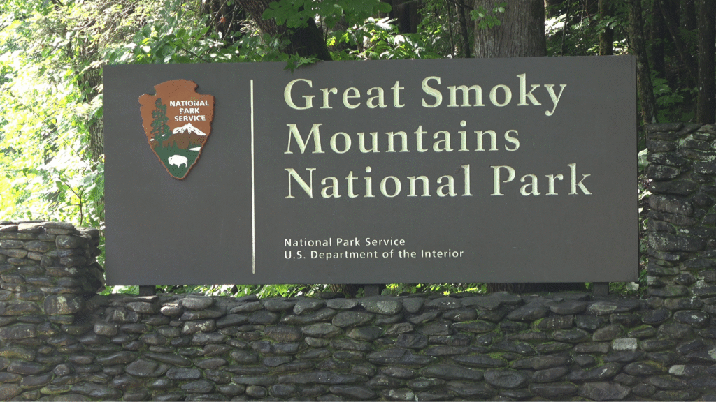 untitled design 2025 09 15t224335.110