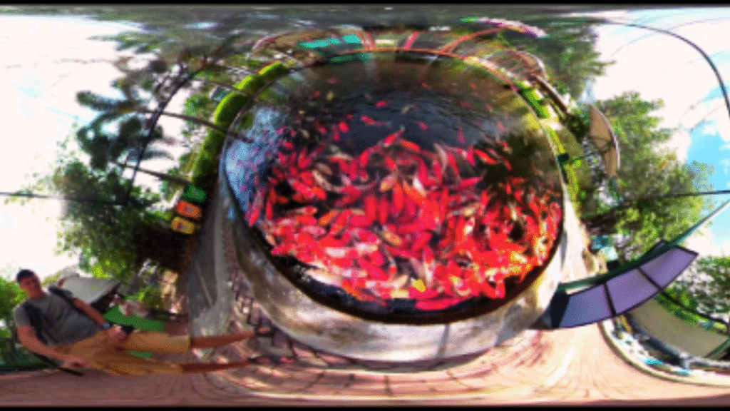 Seoul, South Korea: Autumn Colors & Kimchi Festival beautyrelationship.com